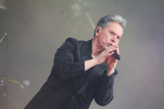 Donauinsel Open Air Forever Young 2025