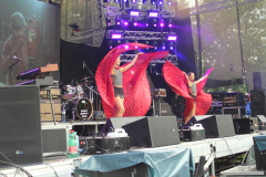 Donauinsel Open Air Forever Young 2025