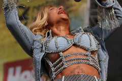 Donauinsel Open Air Millennium 2025
