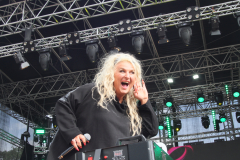 Donauinsel Open Air Millennium 2025