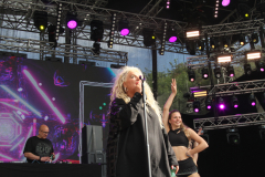 Donauinsel Open Air Millennium 2025