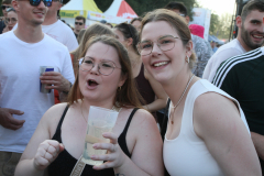 Donauinselfest 2025 Fotos