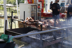 Donauinselfest 2025 Tag 1