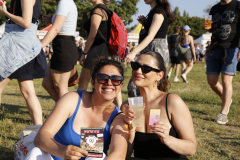 Donauinselfest 2025 Tag 1