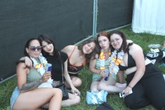 Donauinselfest Fotos Tag 1