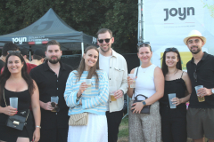 Donauinselfest Fotos Tag 1