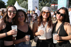Donauinselfest 2025 Fotos