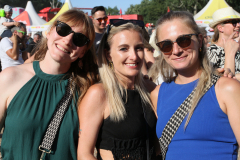 Donauinselfest 2025 Fotos