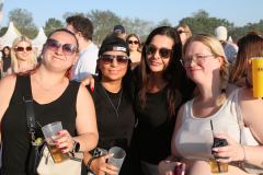 Donauinselfest 2025 Fotos