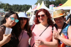 Donauinselfest 2025 Fotos