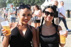 Donauinselfest 2025 Fotos