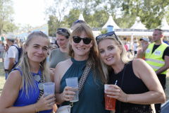 Donauinselfest 2025 Fotos