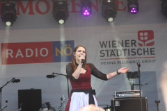 Donauinselfest 2025 Fotos