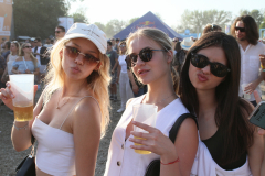 Donauinselfest 2025 Fotos