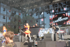 Donauinselfest 2025 Fotos