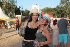 Donauinselfest 2025 Fotos