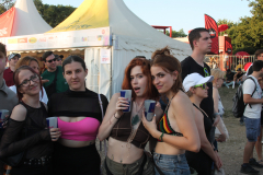 Donauinselfest 2025 Fotos