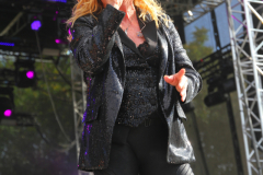 Donauinselopenair - Forever Young - 80er - Foto