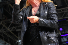 Donauinselopenair - Forever Young - 80er - Foto