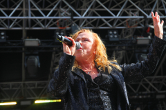 Donauinselopenair - Forever Young - 80er - Foto