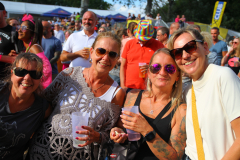 Donauinselopenair - Forever Young - 80er - Foto