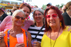 Donauinselopenair - Forever Young - 80er - Foto