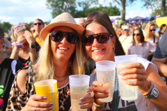 Donauinselopenair - Forever Young - 80er - Foto