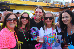 Donauinselopenair - Forever Young - 80er - Foto
