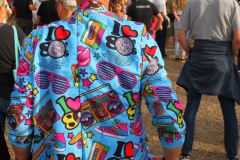 Donauinselopenair - Forever Young - 80er - Foto