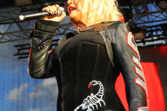 Donauinselopenair - Forever Young - 80er - Foto