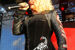 Donauinselopenair - Forever Young - 80er - Foto