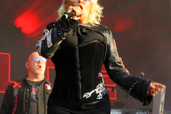 Donauinselopenair - Forever Young - 80er - Foto