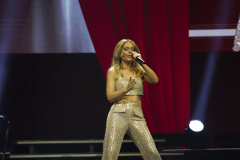 Michelle - Abschiedstour 2026 Foto Wien