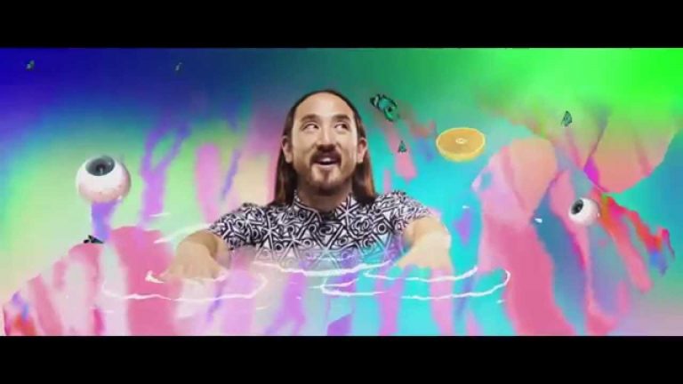 Steve Aoki sein Erfolg ist Sichtbar