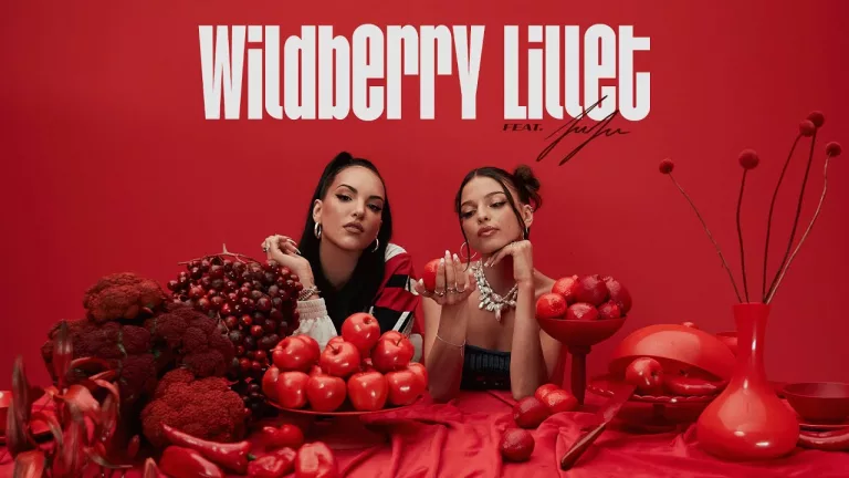 Nina Chuba - Wildberry Lillet Remix