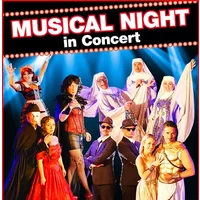 Musical Night in Concert