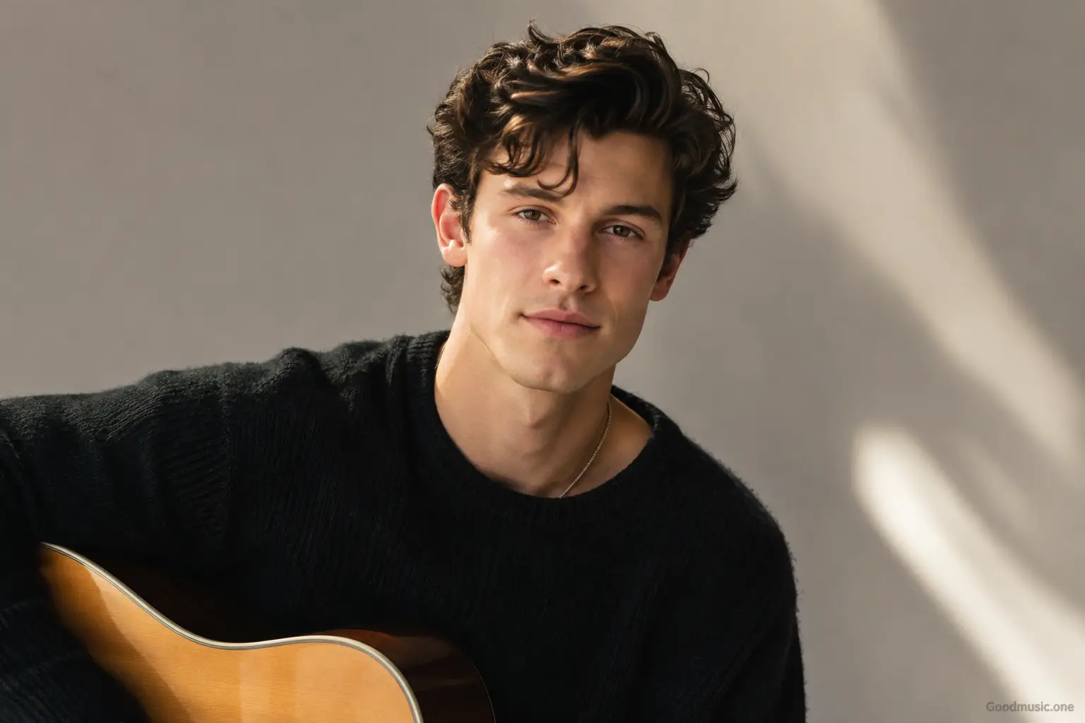Shawn Mendes: Erfolge, Songs und Diskografie