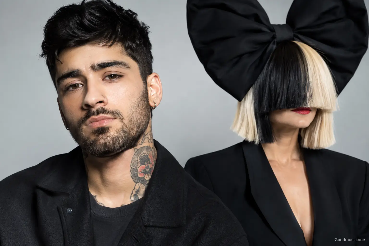 Zayns Erfolge, Hits und die Sia-Kollaboration